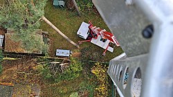 Fällen einer Kiefer mittels Hebebühne
