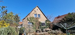 Hausfassade nach Entfernung des Bewuchses nach Kundenwunsch