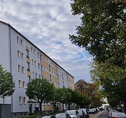 Formschnitt zur Zufriedenheit erledigt (nachher)